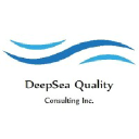 DeepSea Quality Consulting