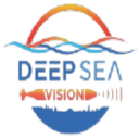 deepseavision.com