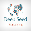deepseedsolutions.com