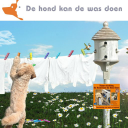 dehondkandewasdoen.nl