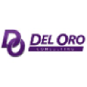 deloroconsulting.com