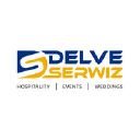 delve-serwiz.com