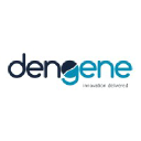 Dengene Technology Solutions