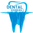 dentaliceberg.com