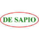 DeSapio Construction Inc.