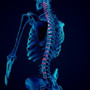 Emerald Coast Chiropractic
