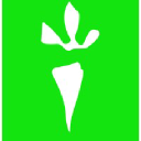 detoxificationworks.com Logo