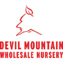 devilmountainnursery.com