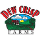 dewcrisp.com