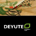 deyute.com