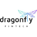 dfintech.com