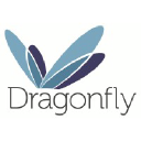 dflyagency.com