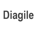 diagile.com