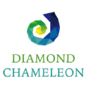 diamondchameleon.com