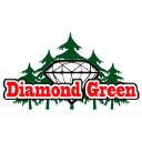 Diamond Green Tacoma Logo