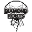 diamondroots.com