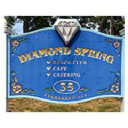 diamondspring.net