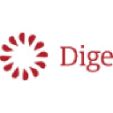 Dige - Mobile and Web Software Development House