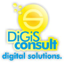 digisconsult.com