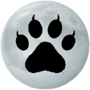 Digital Cheetah