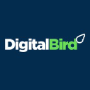digitalbird.com.br