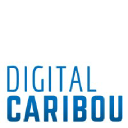 digitalcaribou.com