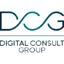 digitalconsultgroup.com