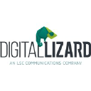 Digitallizard
