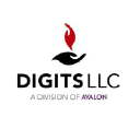 DIGITS LLC