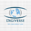 digiverseusa.com