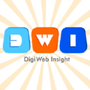 Digiweb Insight LLC