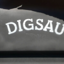 digsau.com