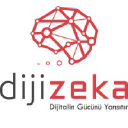 dijizeka.com