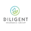 diligentinsurancegroup.com