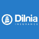 dilnia.com