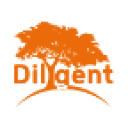 dilygent.com