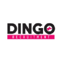 dingorecruitment.com