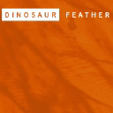 dinosaurfeather.com