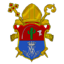 diocesedeoeiras.org