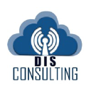 dis-consulting.com