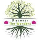 Discover the Wonders Yoga