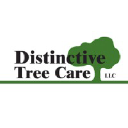 distinctivetreecare.com