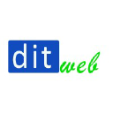 ditweb.com.mx