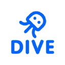 dive-networks.com