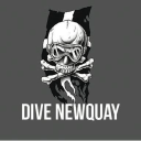 divenewquay.com