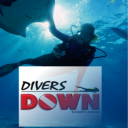 diversdown.net