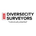 diversecity-surveyors.com