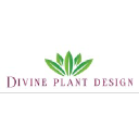 divineplantdesign.com