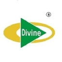 divinetextile.com