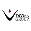 divinogroup.com